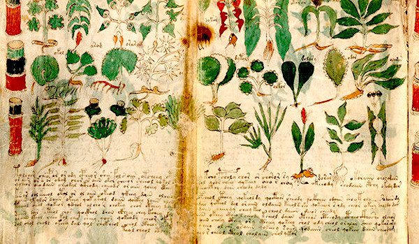Manuscrit Voynich