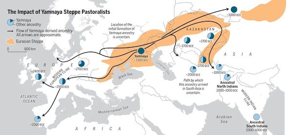 ADN Yamnaya archéologie linguistique