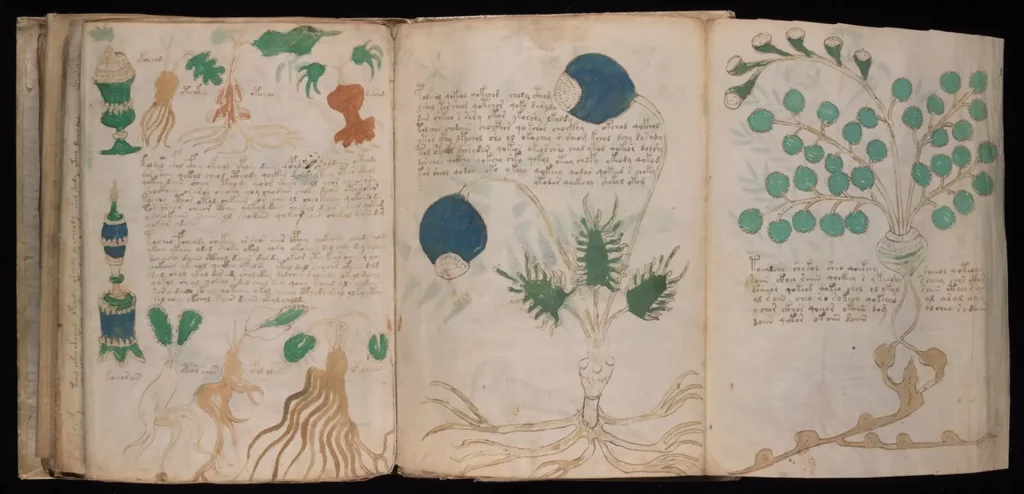manuscrit Voynich Yale university