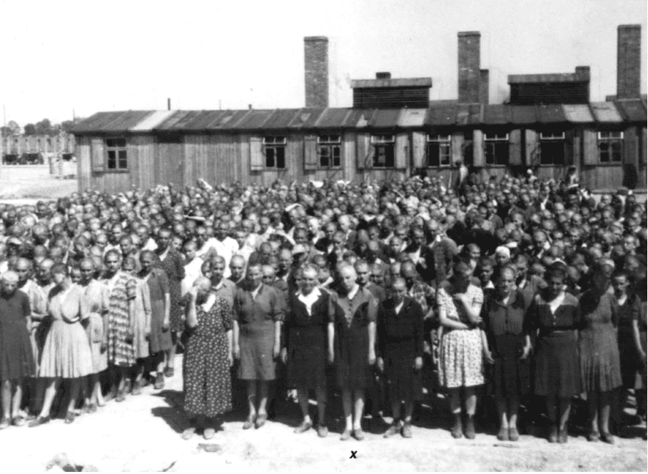l'album de photos d'Auschwitz