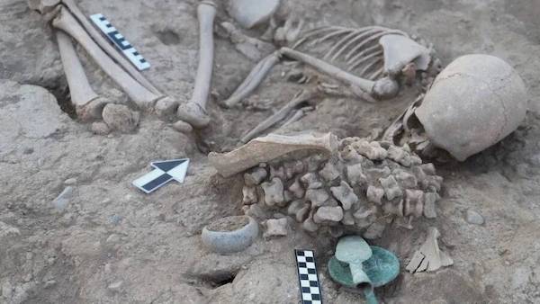 âge de bronze, découverte du squelette d'une fillette